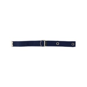 Refresh your wardrobe with the Dolce & Gabbana men's BELT WITH LOGO in Blue